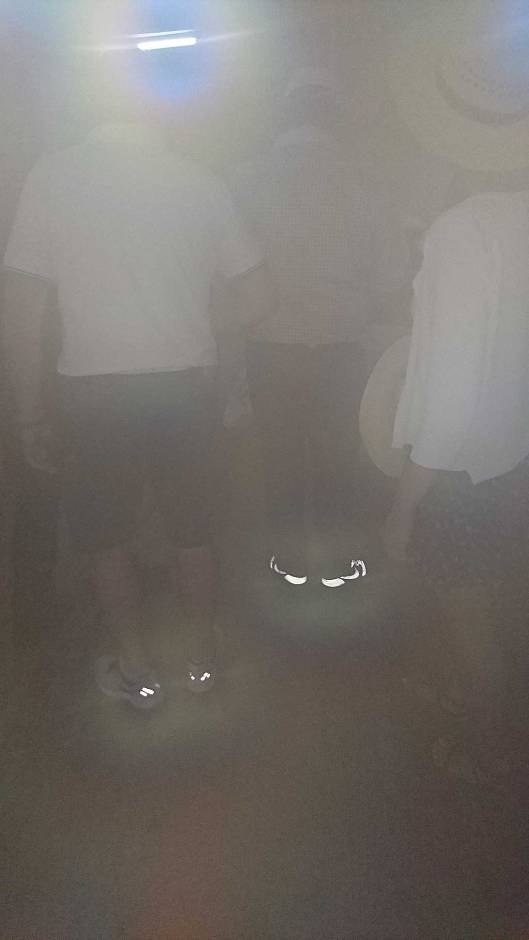 Tobacco Fermentation Factory - in the fermentation chamber