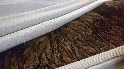 Fermentation of tobacco